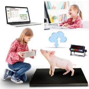 PS-700AS4422 Livestock Scale | Veterinary Scale with Indicator